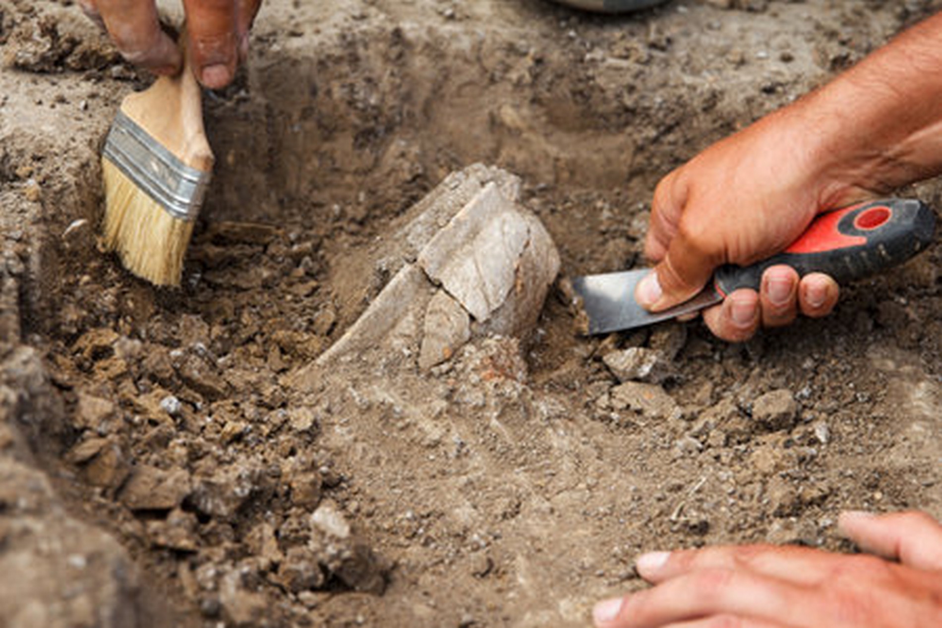 Journées Européennes de l’Archéologie