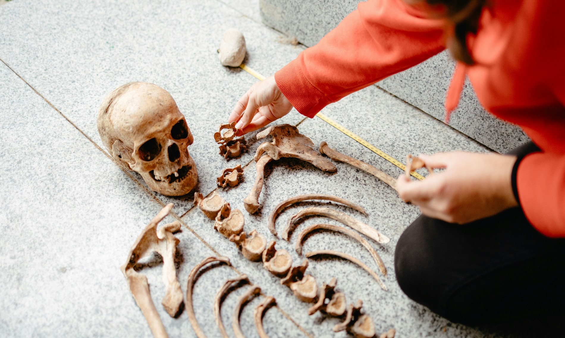 Journées Européennes de l’Archéologie